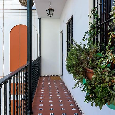 More Center Apartment Seville Exterior photo